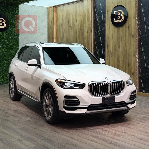 BMW X5 2023 for sale in Iraq - Erbil